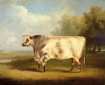 W.H. Davis art print