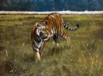 Spencer Hodge art print