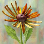 Jan Sacca art print