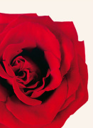 William Taylor art print