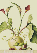 Ruud Verkerk art print