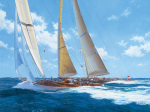 Steven Dews art print