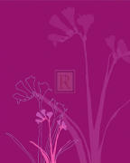 Kate Knight art print