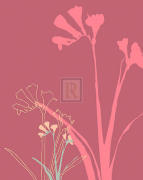 Kate Knight art print