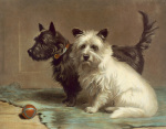 Margaret Collyer art print