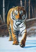 Gary Stinton art print