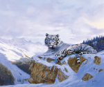 Spencer Hodge art print