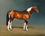 Susan Crawford art print