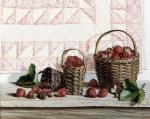 Pauline Eble Campanelli art print