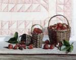 Pauline Eble Campanelli art print