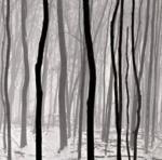 Doug Burgess art print