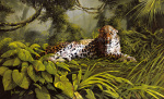 Spencer Hodge art print