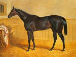 John Frederick Herring art print