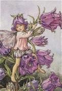 Cicely Mary Barker art print