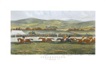 Sturgess art print