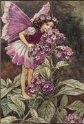 Cicely Mary Barker art print
