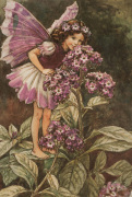 Cicely Mary Barker art print