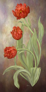 Jan Sacca art print