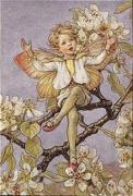 Cicely Mary Barker art print
