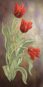 Jan Sacca art print