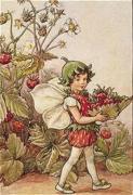 Cicely Mary Barker art print