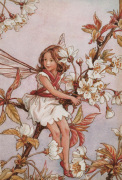 Cicely Mary Barker art print