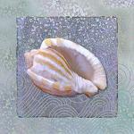 Jan Sacca art print