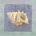 Jan Sacca art print
