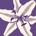 Emily Burrowes art print