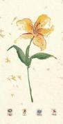 Jenny Tsang art print