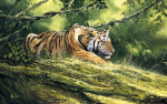 Spencer Hodge art print