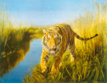 Leonard Pearman art print