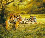 Spencer Hodge art print