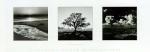 Ansel Adams art print