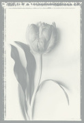 Bill Philip art print