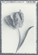 Bill Philip art print