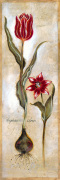 Joseph Augustine Grassia art print
