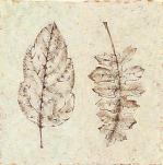 Kate Mawdsley art print