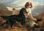 Edwin Douglas art print