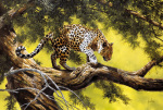 Spencer Hodge art print
