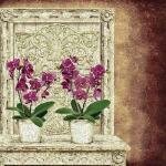 Linda Wood art print