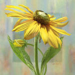 Jan Sacca art print