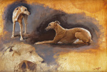 Susan Crawford art print