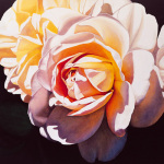 Jennifer Harmes art print