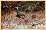 Travis Keese art print