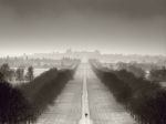 Assaf Frank art print