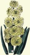 Robert Sweet art print