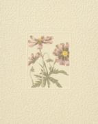 Peg Hope art print