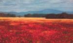 David Schock art print