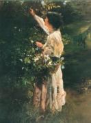 Lynne Yancha art print